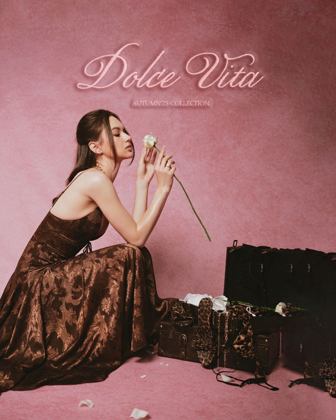 collection fb post cover (1)