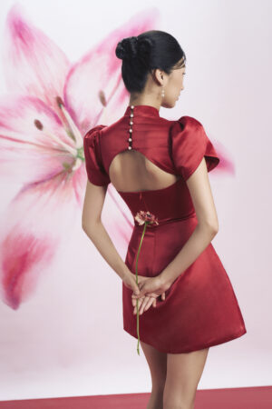 Qingi Dress - Image 7